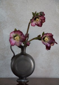 Hellébores en vase