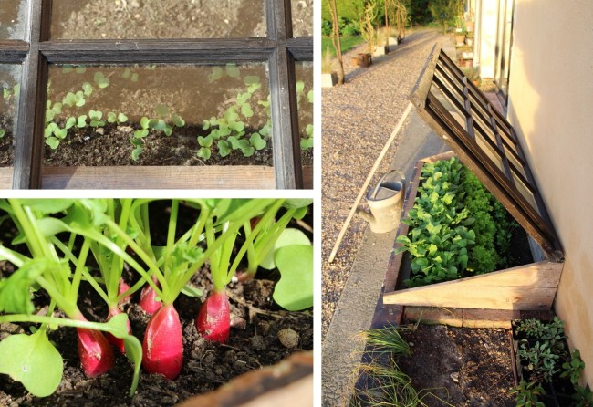 LTAJ-RadisSousChassis