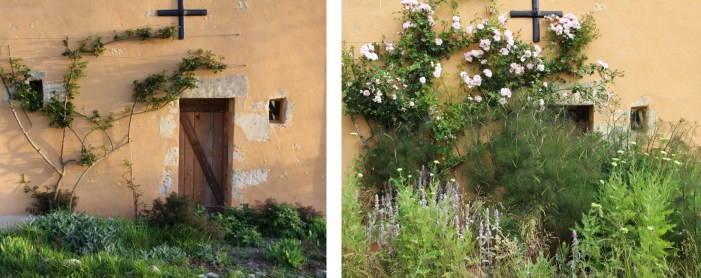 LTAJ-ParterreAutonomeAvantApres