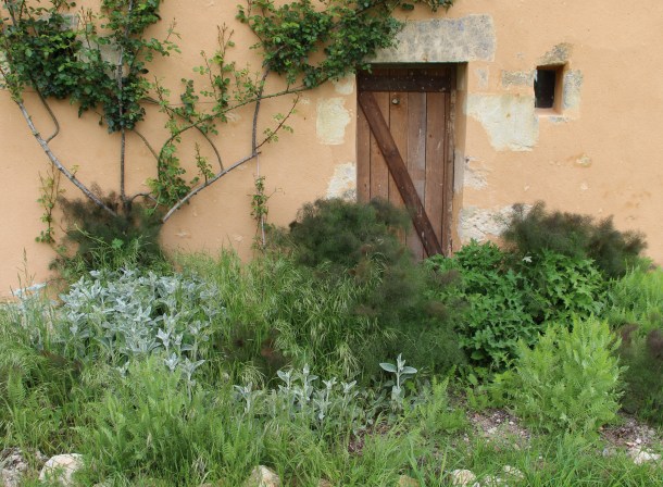 En mai, les feuillages prennent de l'ampleur