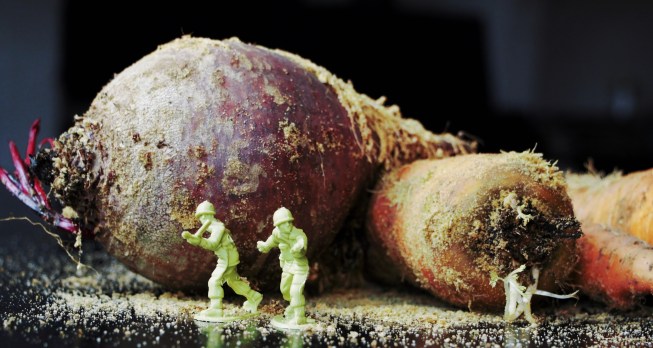 LTAJ-CarottesEtBetterave