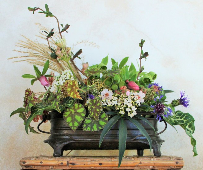 LTAJ-BouquetInsoliteJanvier