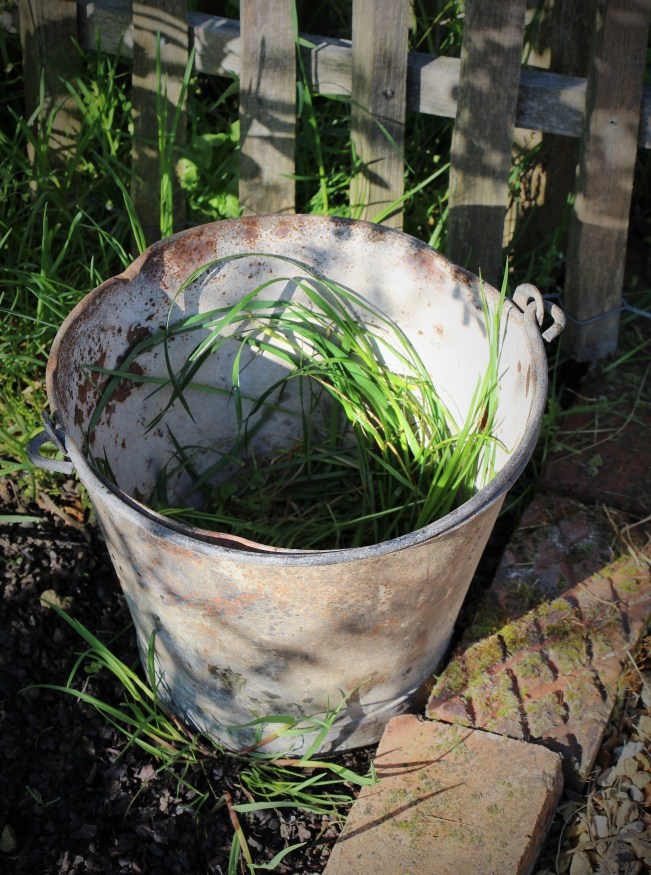 LTAJ-SceauAvecHerbes