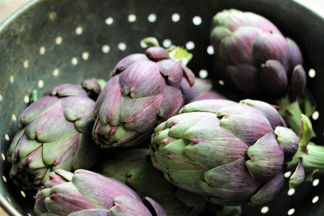 LTAJ-ArtichautsViolets