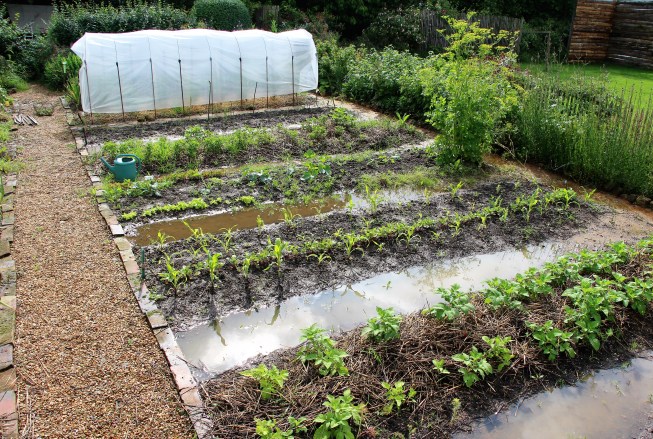 LTAJ-PotagerSousLEau