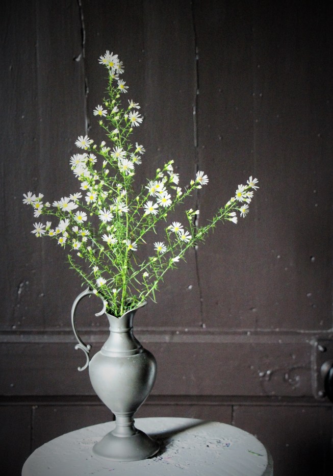 ltaj-astermontecassino