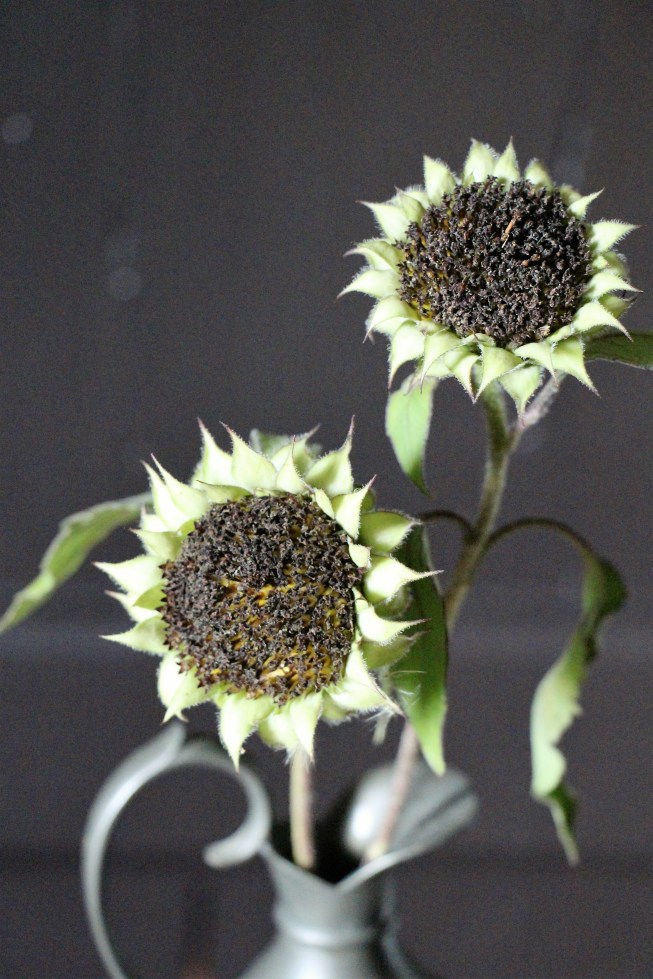 ltaj-velvetqueendefleurie