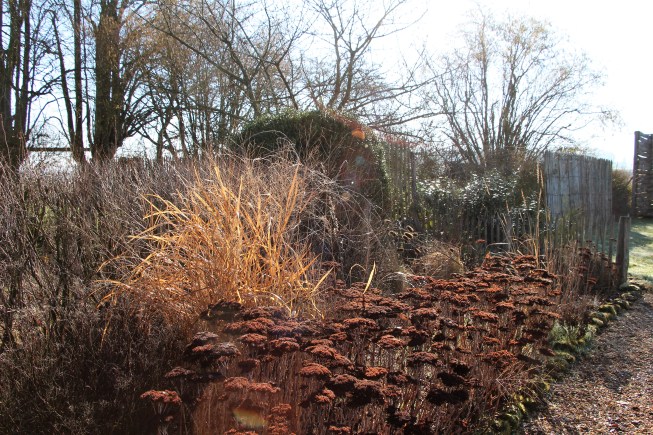 ltaj-platebandeenfevrier