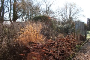 ltaj-platebandeenfevrier